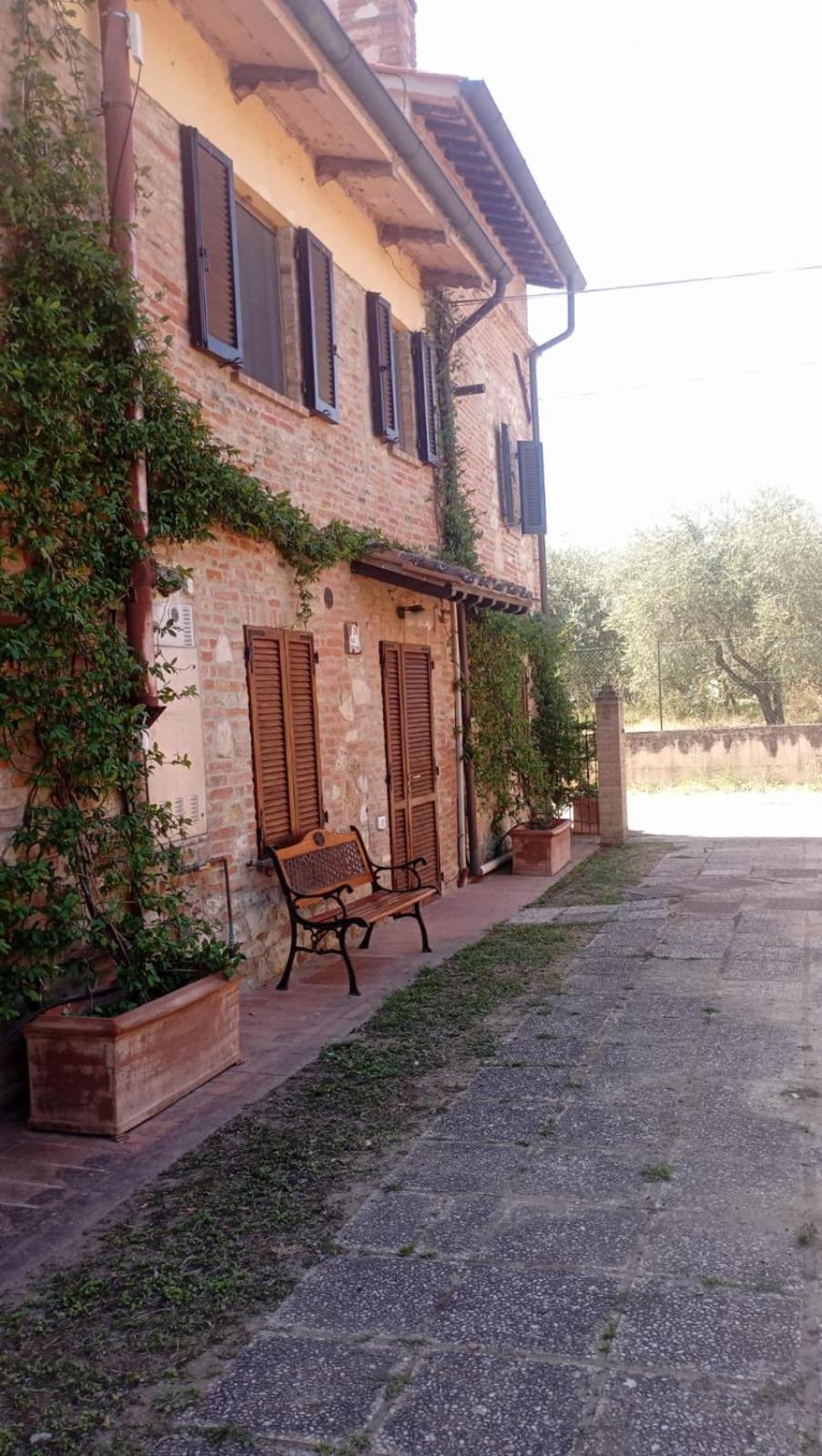Agriturismo La Pergola Castiglione del Lago Extérieur photo